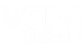 VGDS Global logo